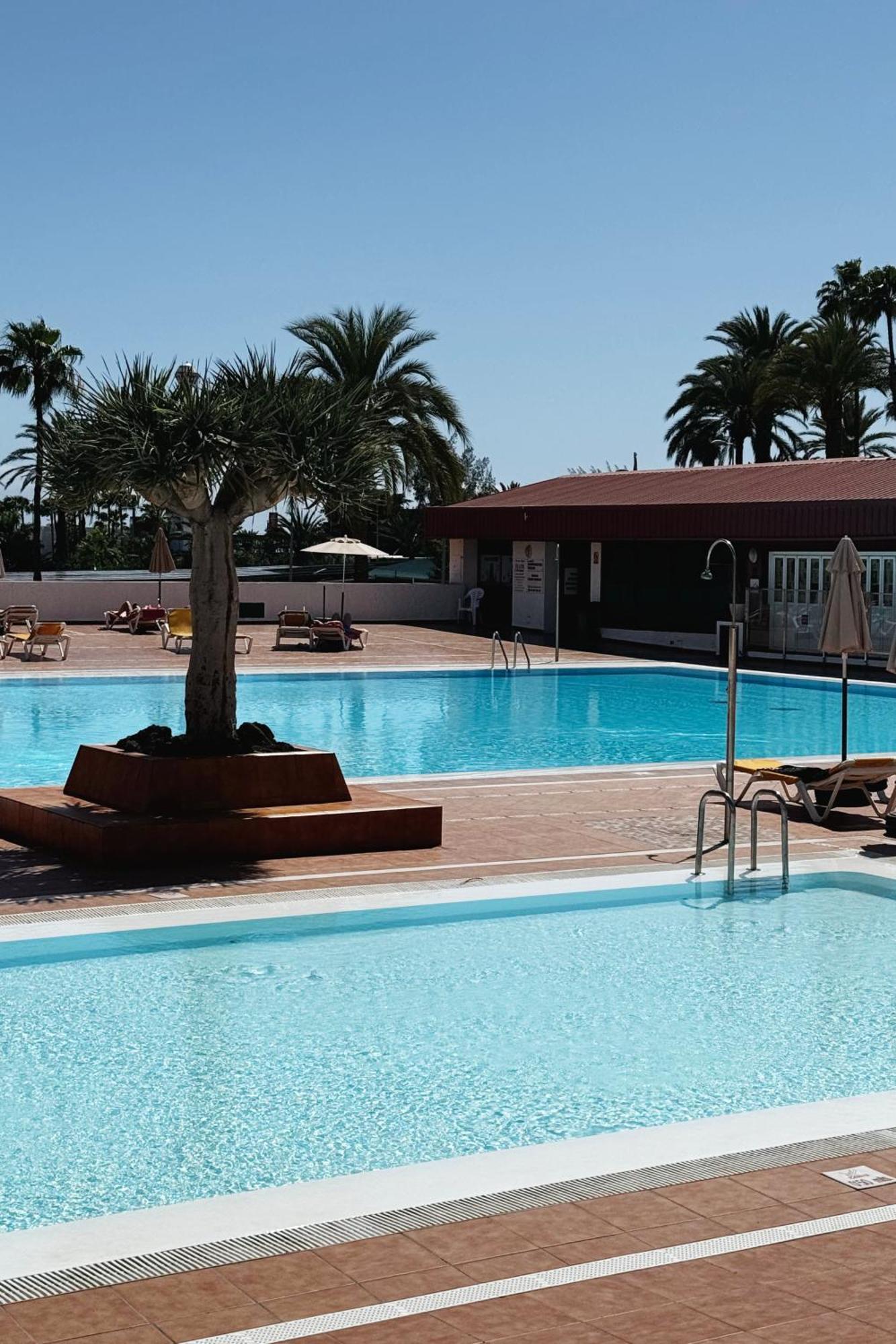 Lovely Apartment In San Agustin: Steps Away From Playa Del Ingles And Maspalomas! San Bartolomé Εξωτερικό φωτογραφία